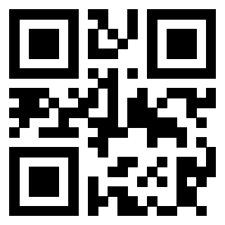 3913732102 QrCode associato