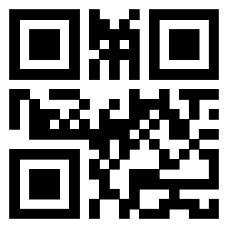 Il Qr Code di 3913732368