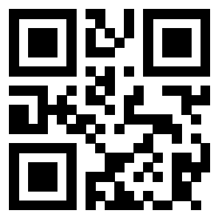 Il Qr Code di 3913732404