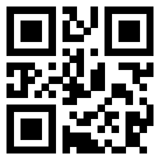 Il Qr Code di 3913732441