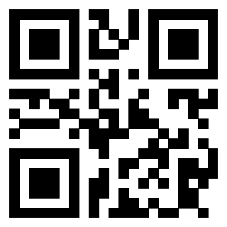 Il Qr Code di 3913751974