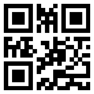 Il Qr Code di 3913752062