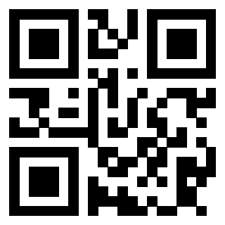 Il Qr Code di 3913752069