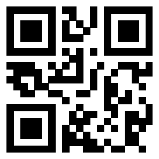 Il Qr Code di 3913752076