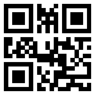 Il Qr Code di 3913752397