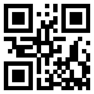 Il Qr Code di 3913752452