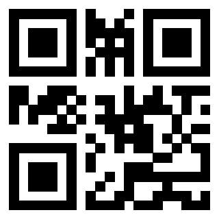 Il Qr Code di 3913752466