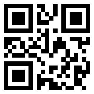 Il Qr Code di 3913752593