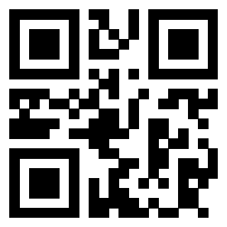 Il Qr Code di 3913752697