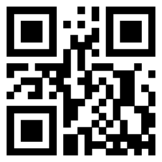 Il Qr Code di 3913752734
