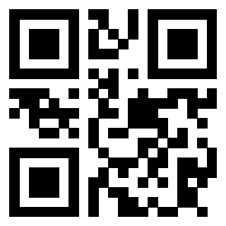 Il Qr Code di 3913752849