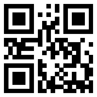 Il Qr Code di 3913788608