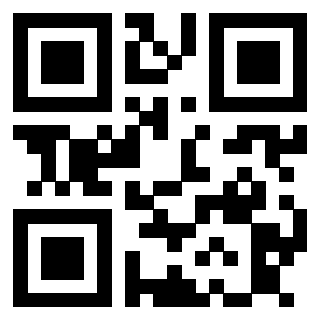Il Qr Code di 3913788628