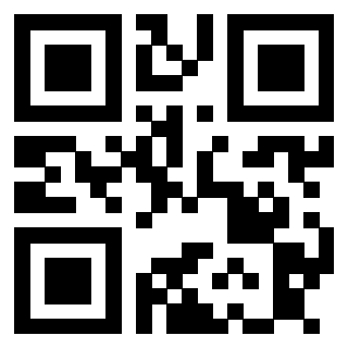 Il Qr Code di 3913788676