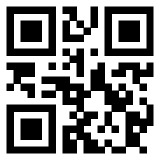 Il Qr Code di 3913788723