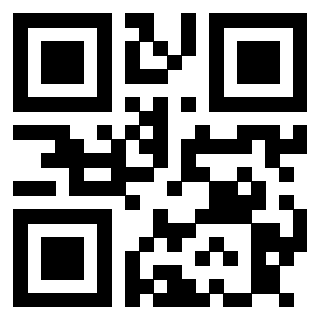Il Qr Code di 3913788894