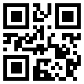 Il Qr Code di 3913788906