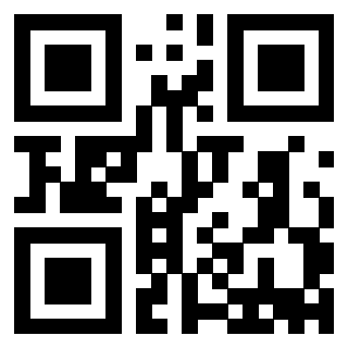 Il Qr Code di 3913788965
