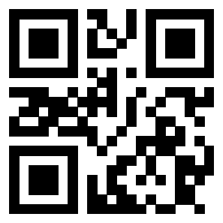 Il Qr Code di 3913789029