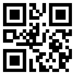 Il Qr Code di 3913789033