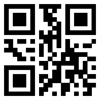 Il Qr Code di 3913789072