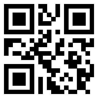 Il Qr Code di 3913789132