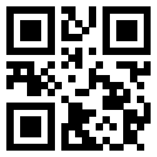 3913789376 QrCode associato