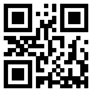 Il Qr Code di 3913789514