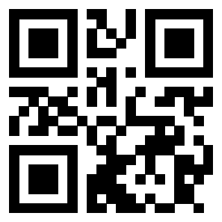 Il Qr Code di 3913789665