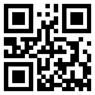 Il Qr Code di 3913789723