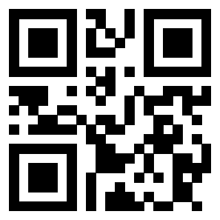 Il Qr Code di 3913789771