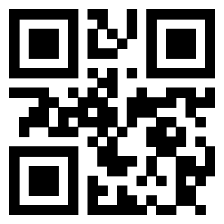 Il Qr Code di 3913789833