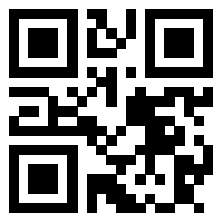 Il Qr Code di 3913789855