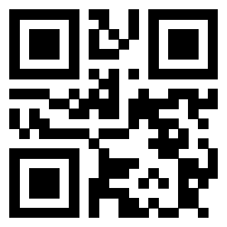 Il Qr Code di 3913789862