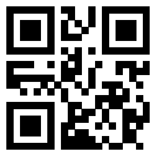 Il Qr Code di 3913789919