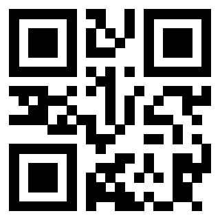 Il Qr Code di 3913790063