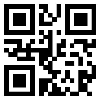 3913790133 QrCode associato