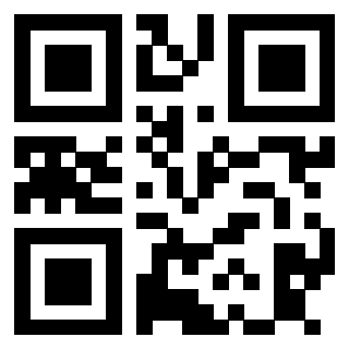 3913790204 QrCode associato