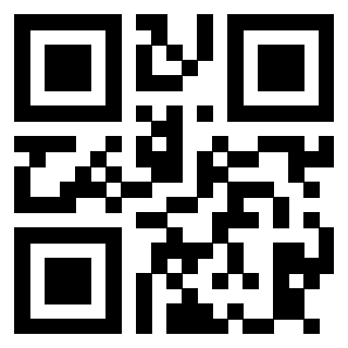 Il Qr Code di 3913790259