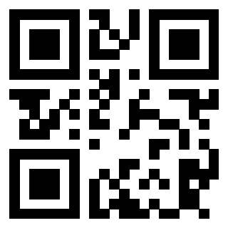 3913790336 QrCode associato