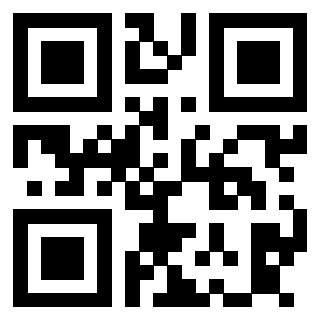 Il Qr Code di 3913798053