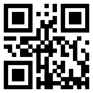Il Qr Code di 3913798069