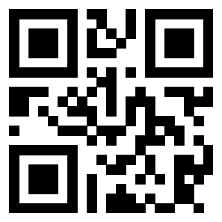 Il Qr Code di 3913798569