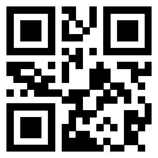 Il Qr Code di 3913798588