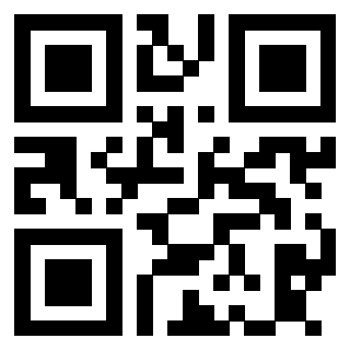 Il Qr Code di 3913798609