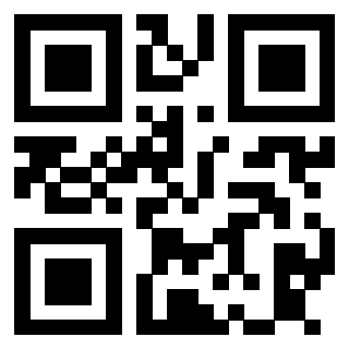 Il Qr Code di 3913798685