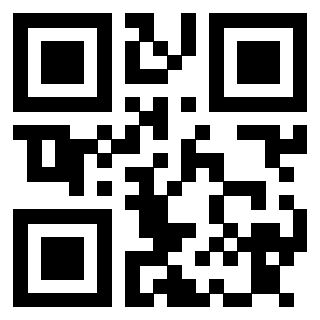 Il Qr Code di 3913833376