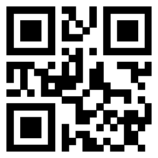 Il Qr Code di 3913833491