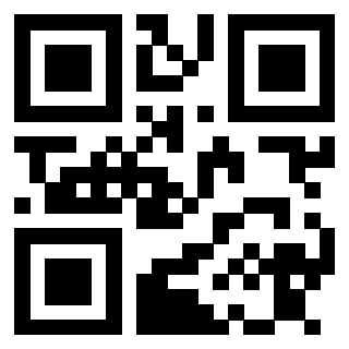 Il Qr Code di 3913833518