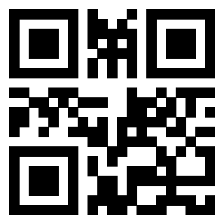 Il Qr Code di 3913833610